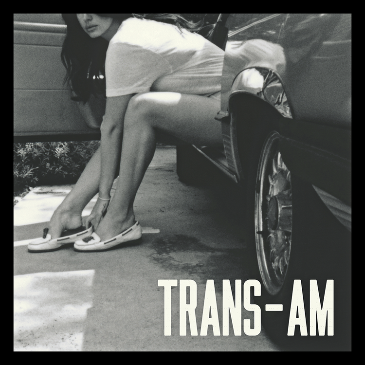 trans_am_by_other_covers-d7kqzcp.png