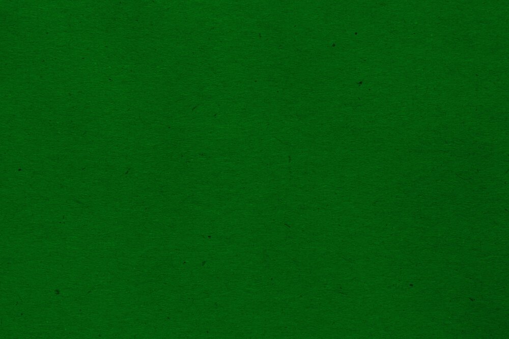 kelly-green-paper-texture-with-flecks.jp