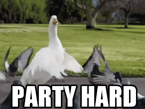 party-hard-7.gif