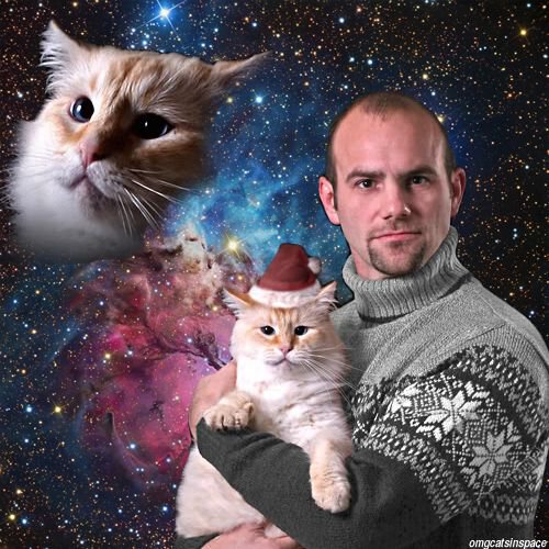 14 Cat Glamour Shots that Are Just Too Galmorous to Pass Up – Meowingtons