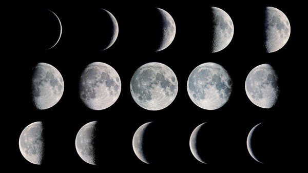 moon-phases-Fred-Espenak-lg-e14642032962