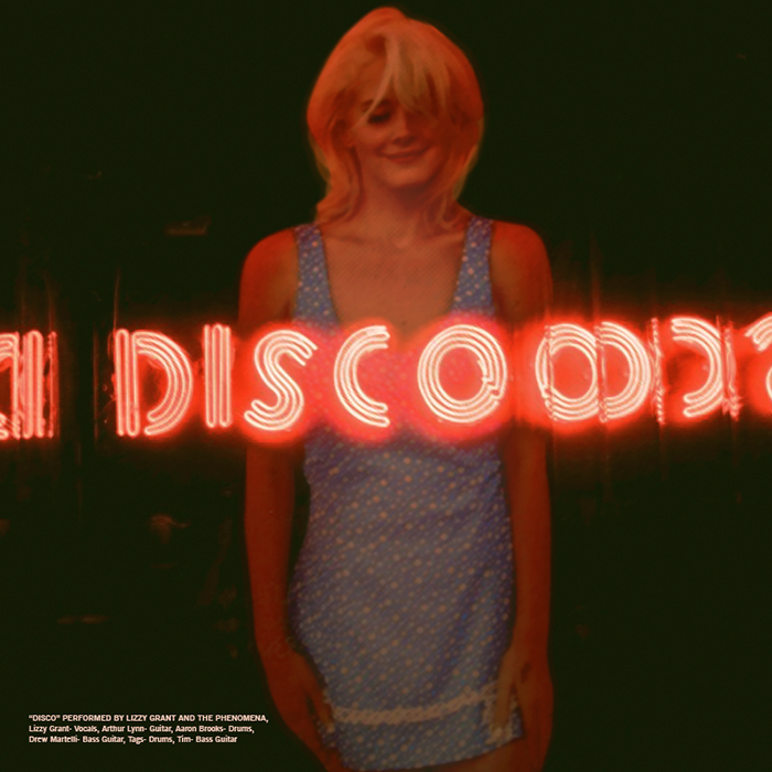 lana_del_rey___disco_by_other_covers-d5r