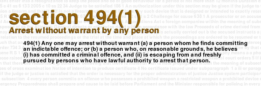 criminal-code-of-canada-section-494-1-ar