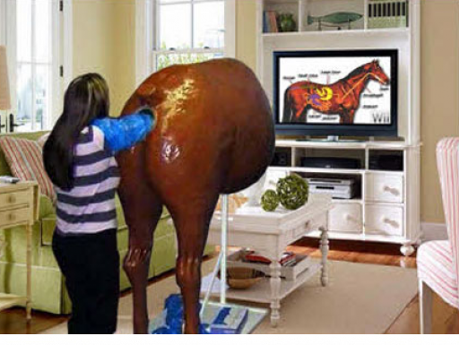 a201_equine-anal-probe.png